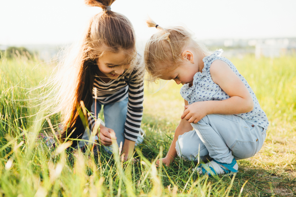 Children and teenagers can carry out valuable wildlife research – here’s how